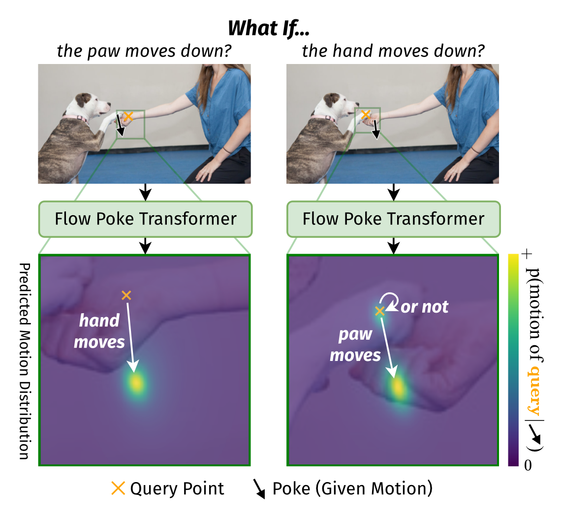 Flow Poke Transformer motion distribution teaser